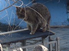-青藏高原野生动物园