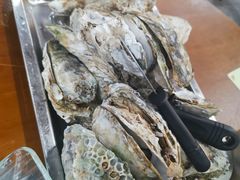 原只蒸生蚝-蚝得喜海鲜(东城店)