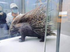 -国家自然博物馆