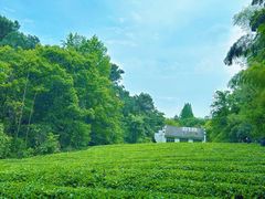 -敬亭山风景名胜区