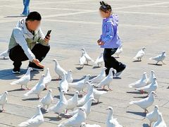 -天津妈祖文化园