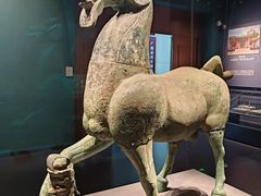 -广西壮族自治区博物馆