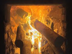 -鼎香皇高佬苏裹蒸粽