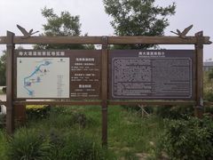 -南大港湿地风景区