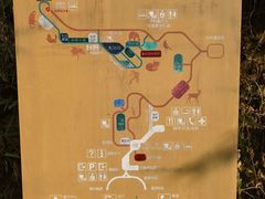 -普洱太阳河森林公园