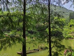 -深圳仙湖植物园