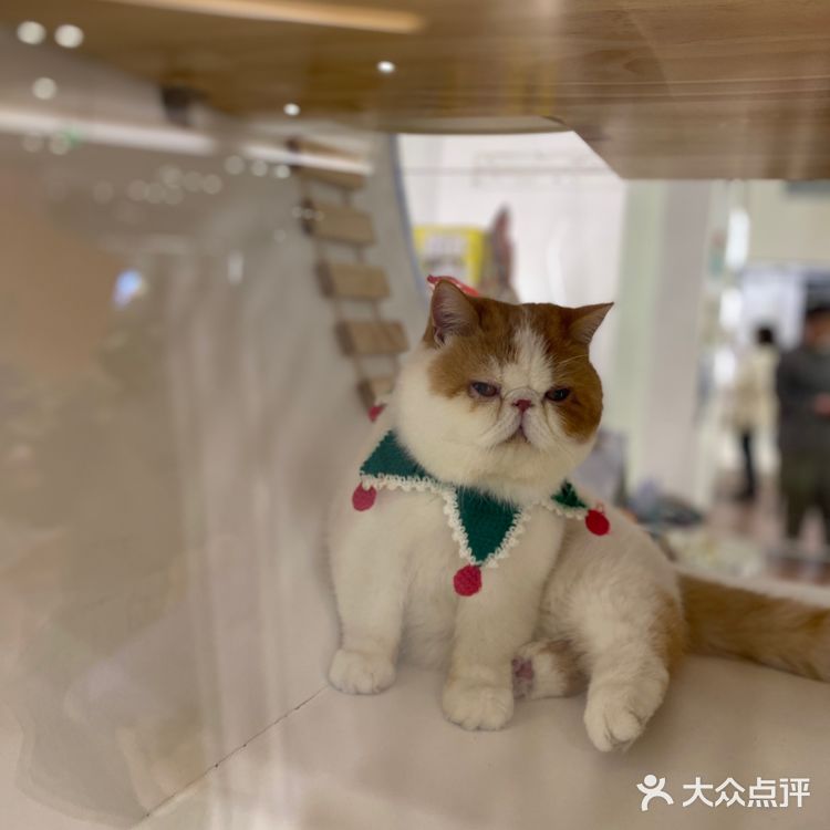 贵阳探店|CC park新开的这家咖啡店太好看了