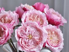 -誉八仙酒楼(静安大悦城店)