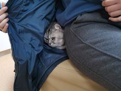 -宠颐生中康贝怡动物医院