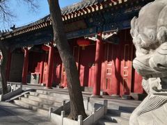 -北京第二实验小学