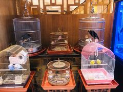 -老江南春·中国龙菜(衡山路店)