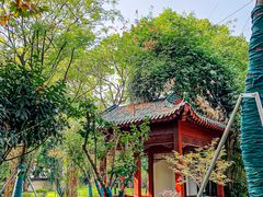 景点-解放公园