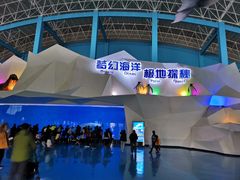-泉城欧乐堡海洋极地世界