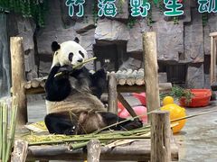 -栾川竹海野生动物园