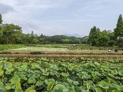 -清漾毛氏文化村