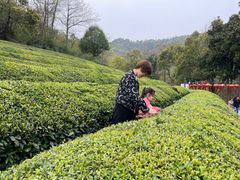 -敬亭山风景名胜区