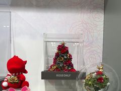 -ROSEONLY诺誓(国际广场购物中心店)