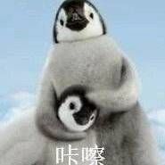 -Mr.P's无国籍料理