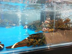 -盒马鲜生(王府广场店)