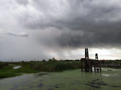 -宁波杭州湾国家湿地公园