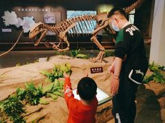 -自贡恐龙博物馆