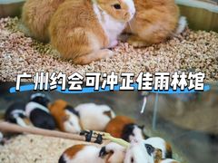 -正佳雨林生态植物园