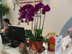 -美华丁香门诊部·全科·妇儿·口眼