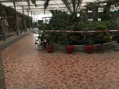 -万源龙顺度假庄园生态观光园