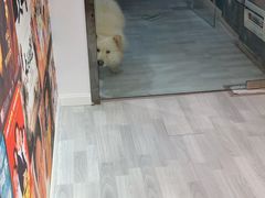 -肆兮眼镜·蔡司·徕卡战略合作店(大坪店)