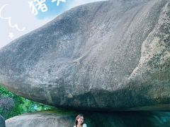 -火炉山森林公园