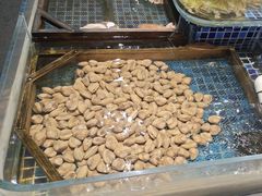 -天盛海鲜烧烤大排档·本地小海鲜·牟平腿穗子(幸福店)