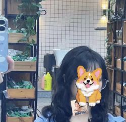 -藤野造型烫染·接发