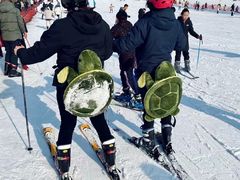 -采薇庄园四季滑雪场