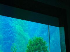 -家富足道·SPA·影院式(解放碑碑中心店)