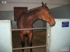 -松声马术俱乐部