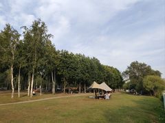 -哈尔滨大剧院