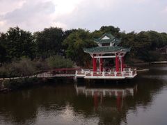 -石湾公园