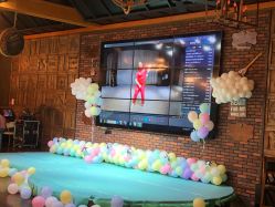 -派对猴生日派对策划