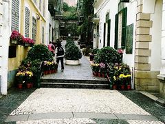-澳门长洲糯米糍(柯打苏沙街店)
