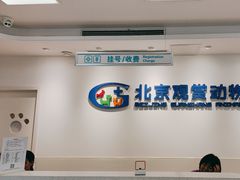 -北京观赏动物医院·24小时大型综合·猫专科·异宠专科