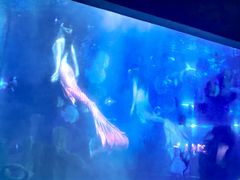 -江和美海洋公园