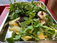 -金鼎雪山牦牛杂火锅(理县总店)