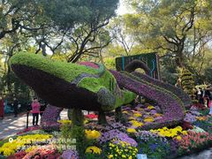 -杭州植物园