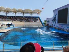 -北戴河圣蓝海洋公园