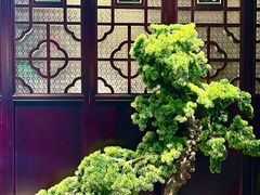 -悦满楼·西关名点·湛江名菜(航空综合大厦店)