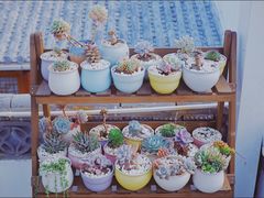 -蜜舍咖啡(洋人街店)