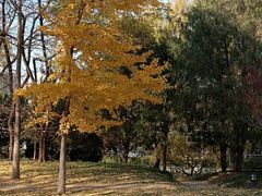 -元大都城垣遗址公园