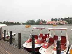 -上海长兴岛郊野公园