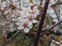 -共青国家森林公园-售票处