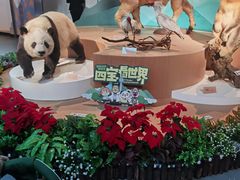 -陕西自然博物馆